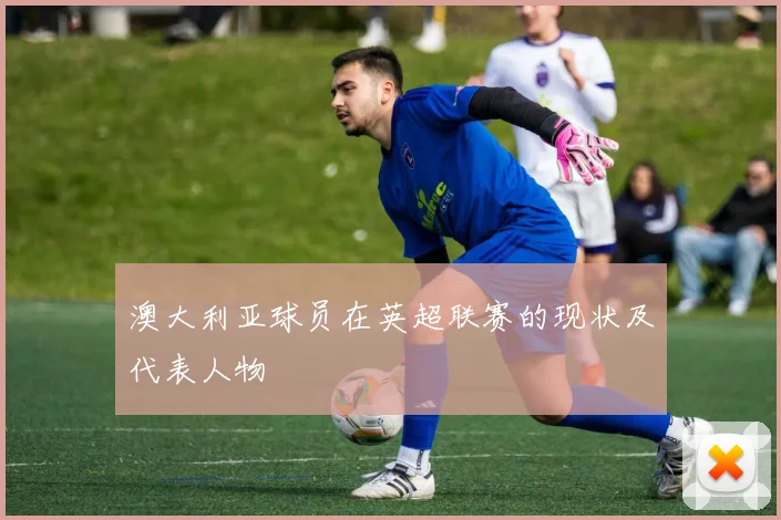澳大利亚球员在英超联赛的现状及代表人物