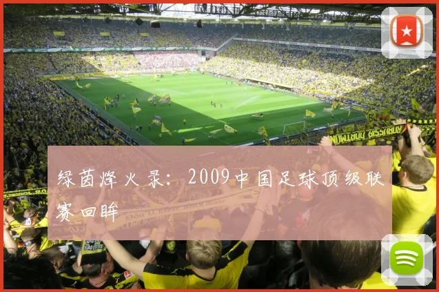 绿茵烽火录：2009中国足球顶级联赛回眸